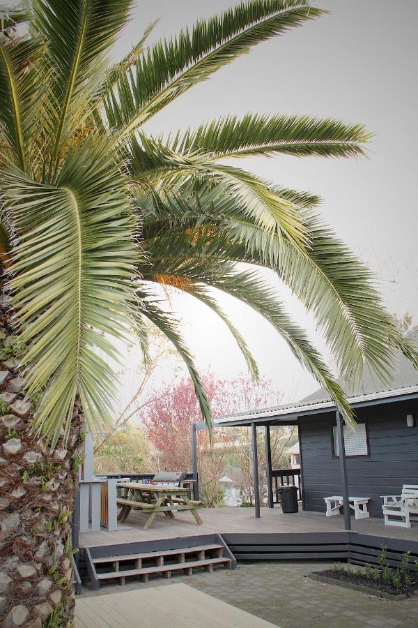 Hugo & Carters Backpackers & Motel Тауранга Екстер'єр фото Phoenix canariensis